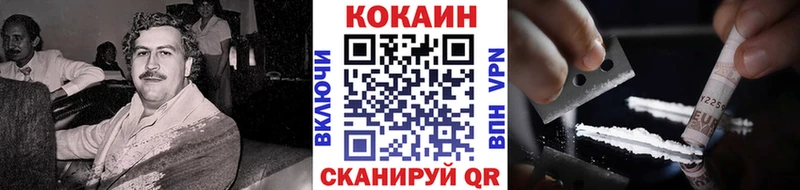 Купить закладки  Волхов  Кокаин Эквадор 