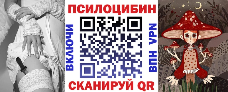 Купить закладки  Волхов  Галлюциногенные грибы GOLDEN TEACHER 